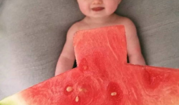 佳佳拖把吃瓜网,揭秘网红神器背后的秘密